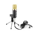 bm-100fx-usb-powered-condenser-studio-recording-microphone-with-noise-cancel-and-echo-effectZxOy.webp