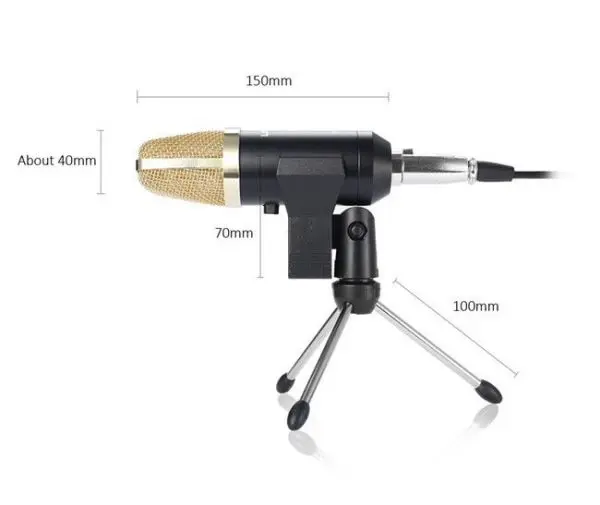 bm-100fx-usb-powered-condenser-studio-recording-microphone.webp
