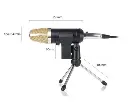 bm-100fx-usb-powered-condenser-studio-recording-microphone.webp