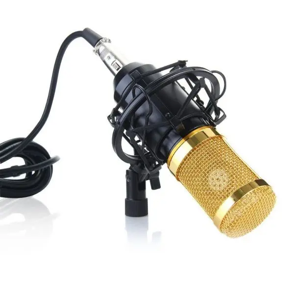 bm800-microphone-3.webp