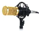 bm800-microphone-high-performance-condenser-microphone-for-youtube-studioPIY5.webp