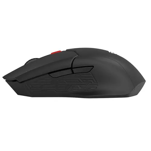 wg11-02-500x500.webp