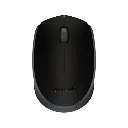 m171-1-500x500.webp
