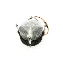 gg-7-500x500.jpg.webp