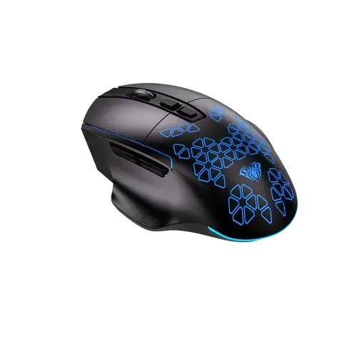 f812-02-500x500.webp