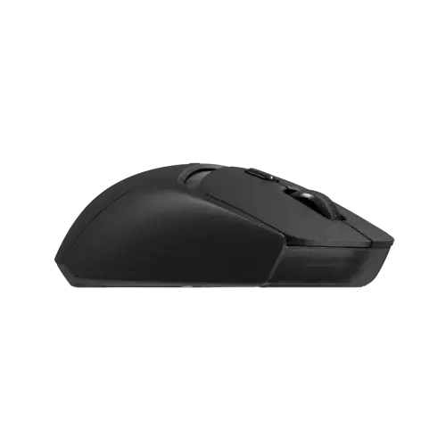 g309-lightspeed-03-500x500.webp