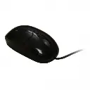 f303-500x500.webp