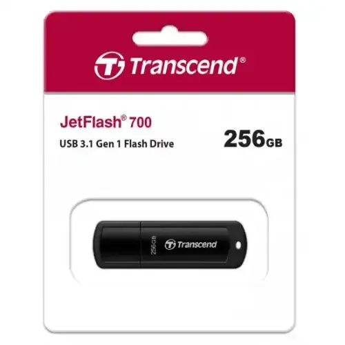 jetflash-700-256gb-02-500x500 (2).webp