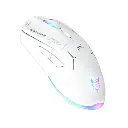 cw917-04-500x500 (1).webp