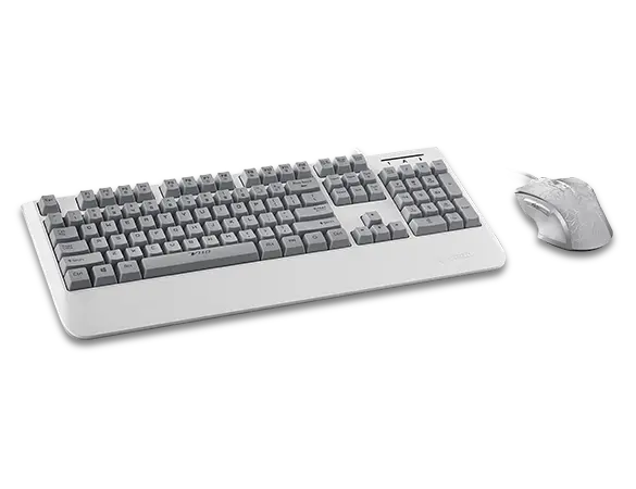  Rapoo V110 Backlit Gaming Keyboard & Optical Gaming Mouse Gaming Combo