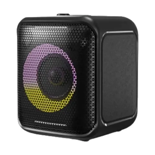 [02311] F&D PA100 Bluetooth Party Speaker