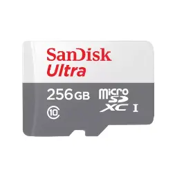 SanDisk Ultra 256GB Class-10 100mbps Micro SDXC UHS-I Memory Card (SDSQUNR-256G-GN3MN)